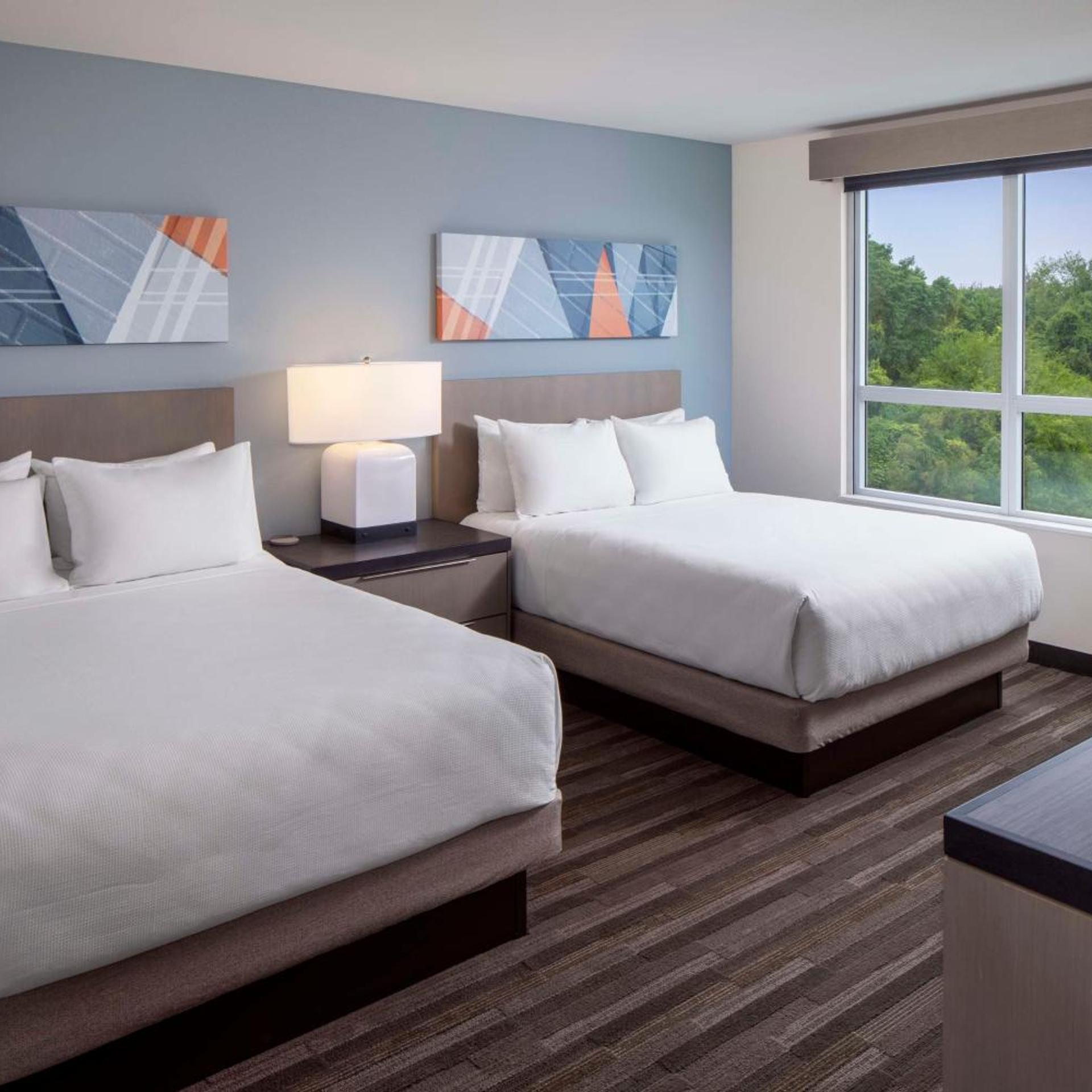 1 Bedroom, Specialty, Suite, Queen Bed, Kitchen, Accessible