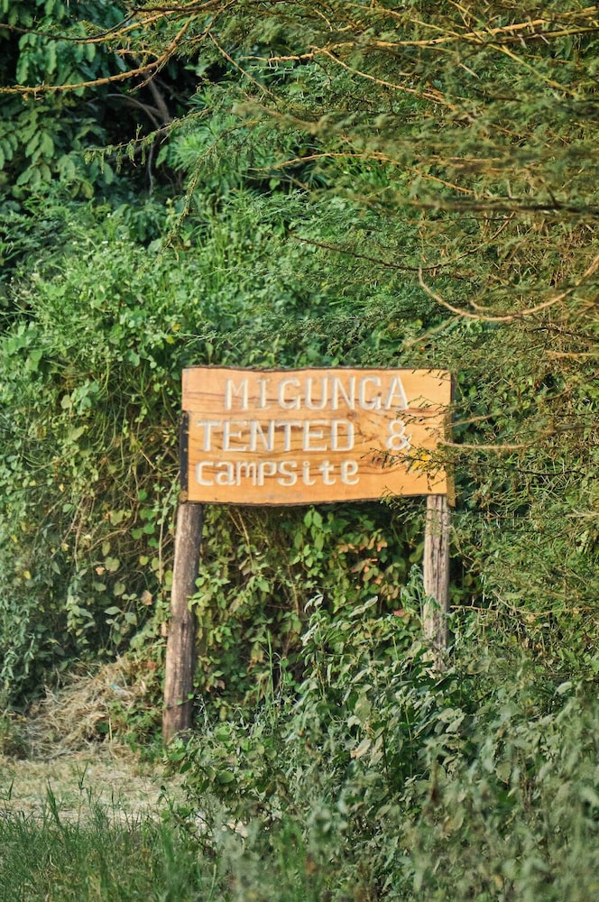 MIGUNGA TENTED CAMP 45/47