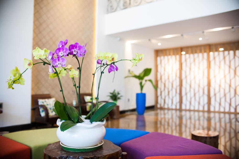 Santori Hotel Danang Bay 8/74