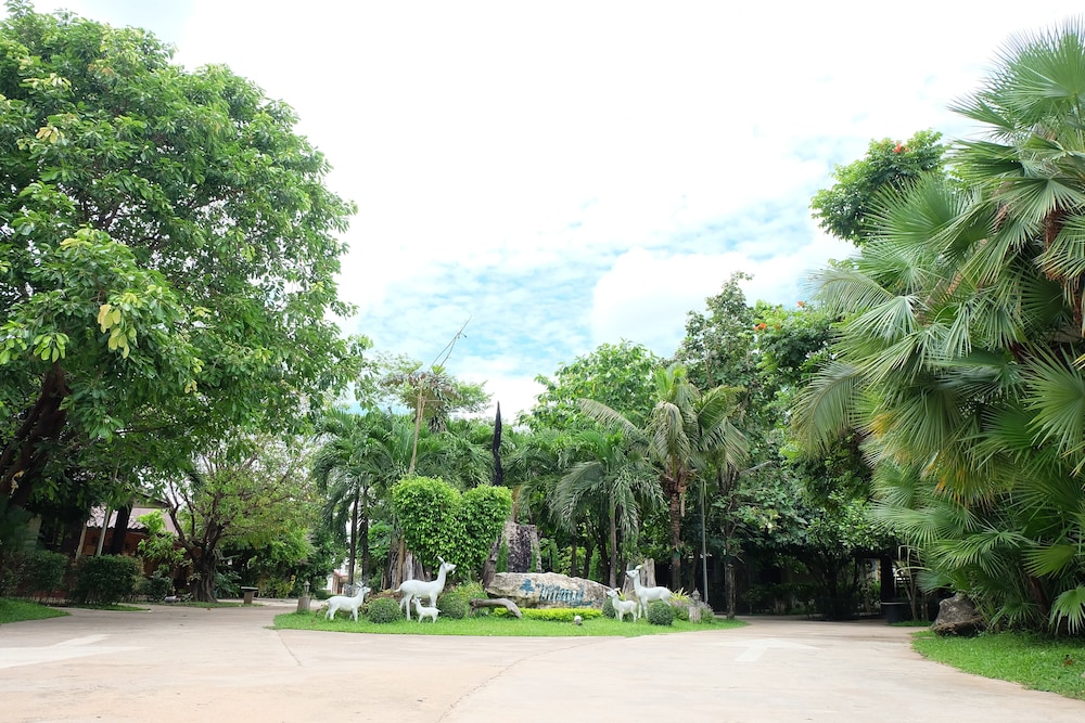 Big Tree Resort 33/45