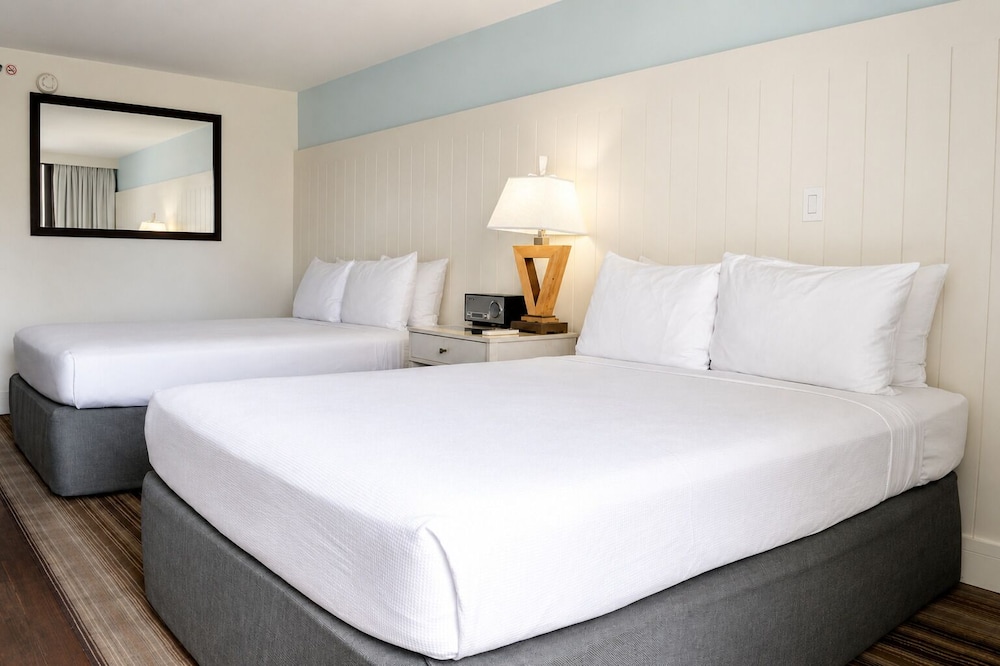 Gold, Studio, 2 Queen Beds, Corner
