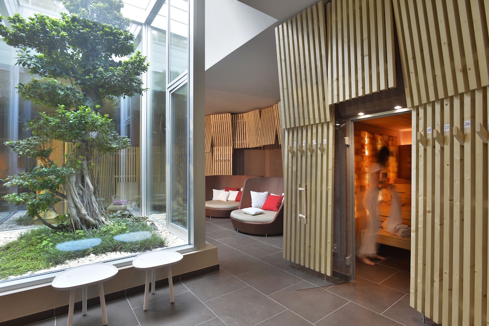 Aqualux Hotel Spa Suite & Terme 33/60