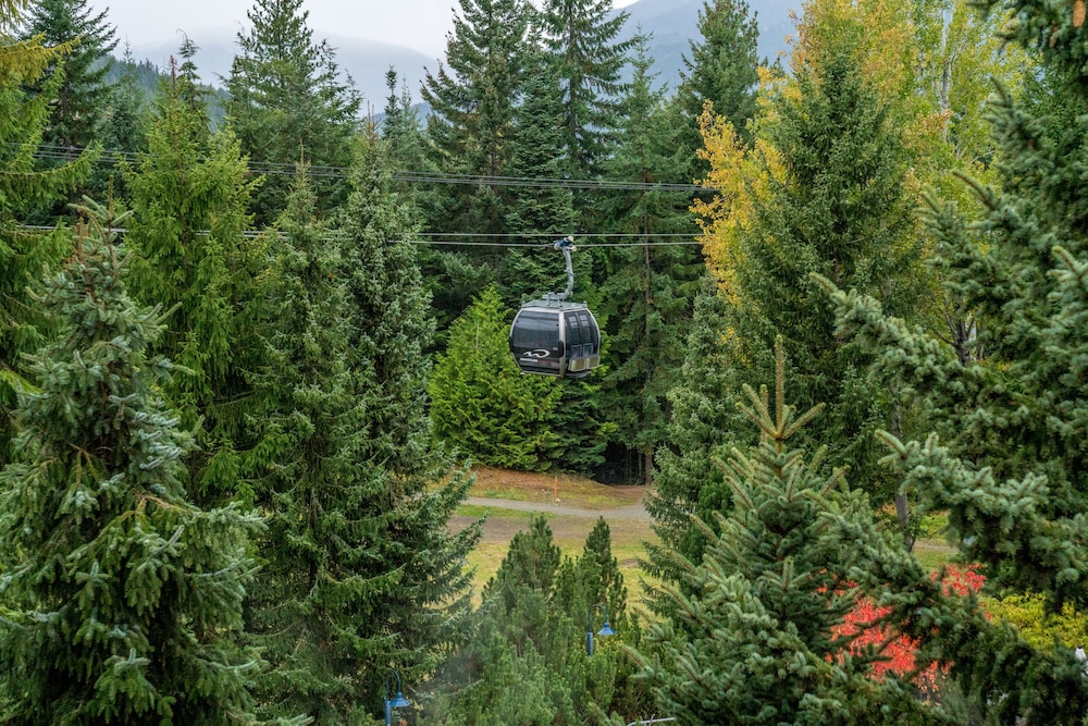 Blackcomb Springs Suites by CLIQUE 60/70