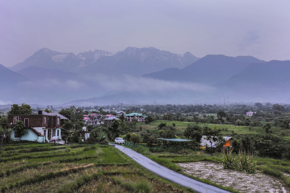 Seclude Palampur - Himachal Pradesh 46/50