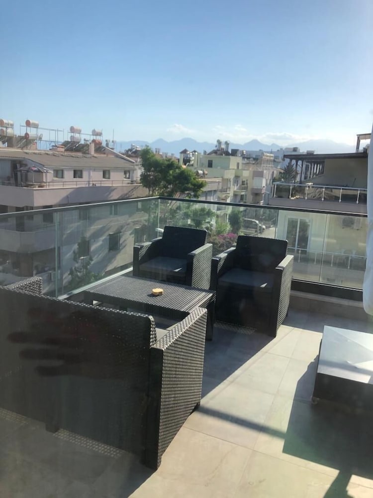 Z-Suites 24/50