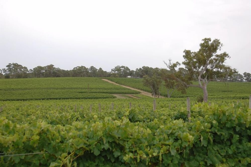 Barristers Block Vigneron Villa 7/8
