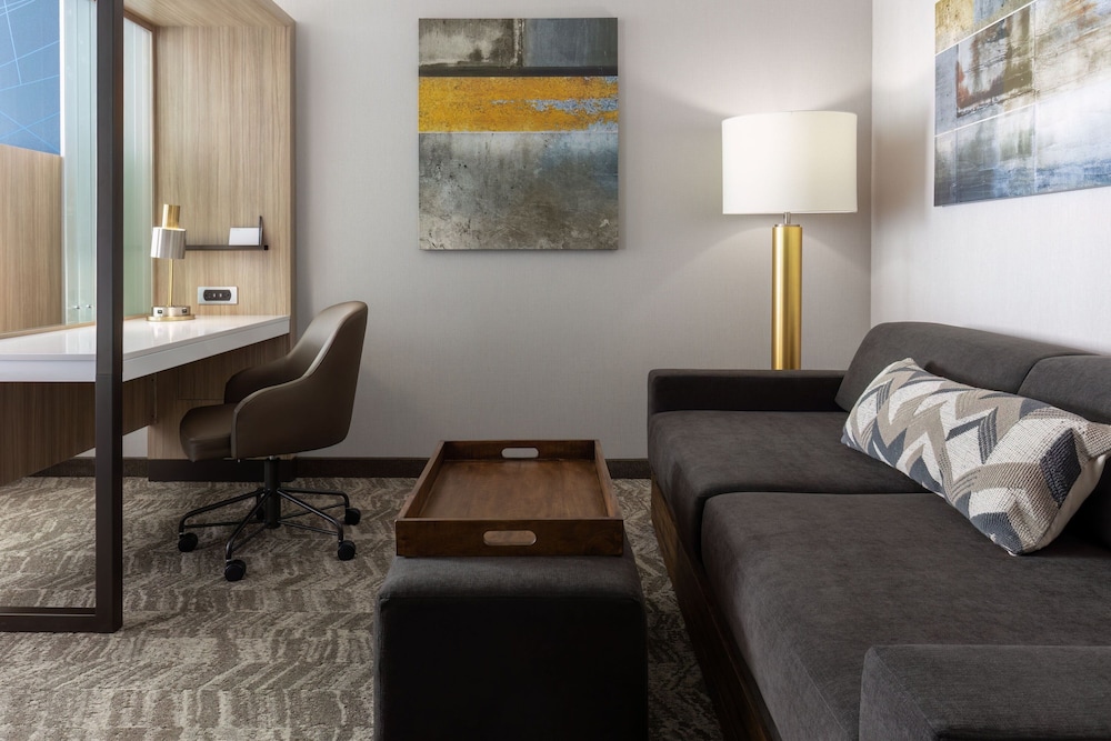 SpringHill Suites by Marriott Pleasanton 18/35