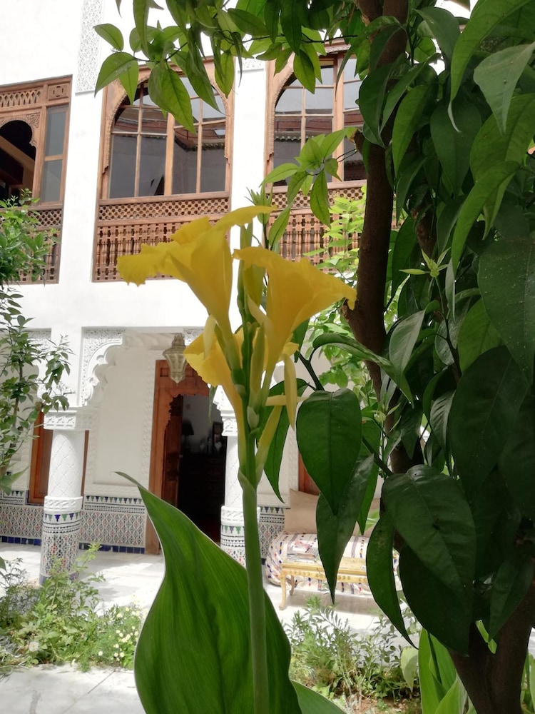 Riad Ben Youssef 49/50