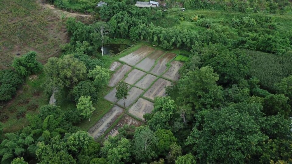 Aum Hum Homestay 47/50