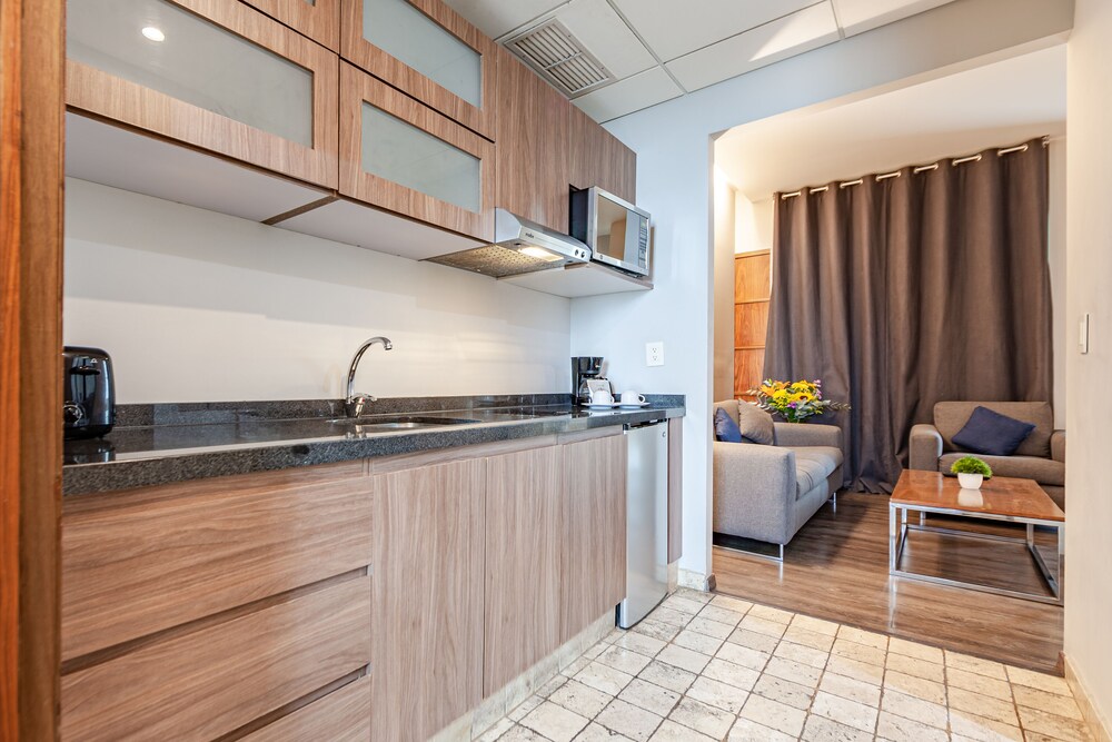 Suites del Angel 6/65