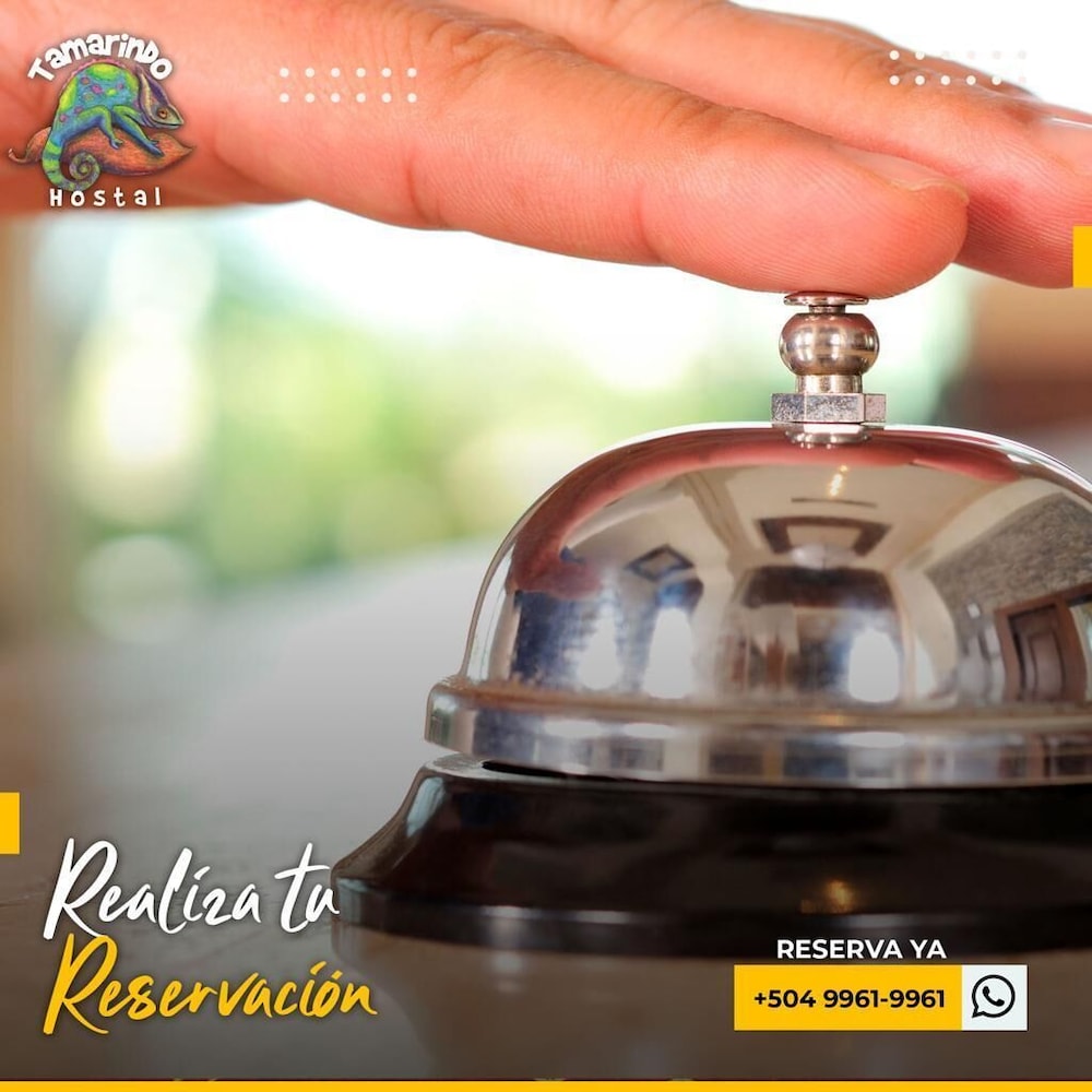 Tamarindo hostel 30/50