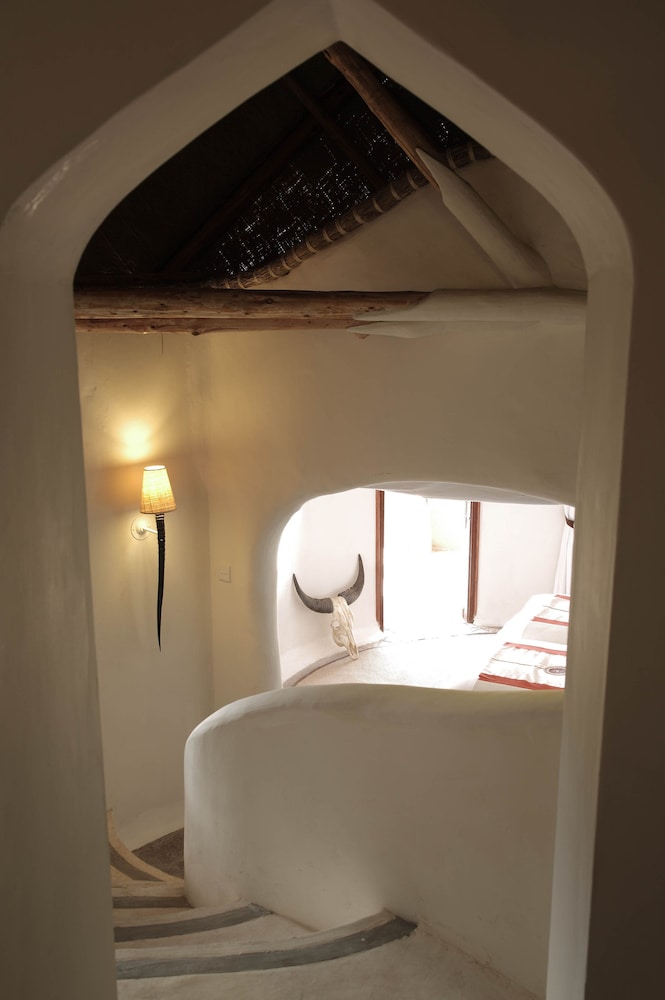 Olarro 10/50