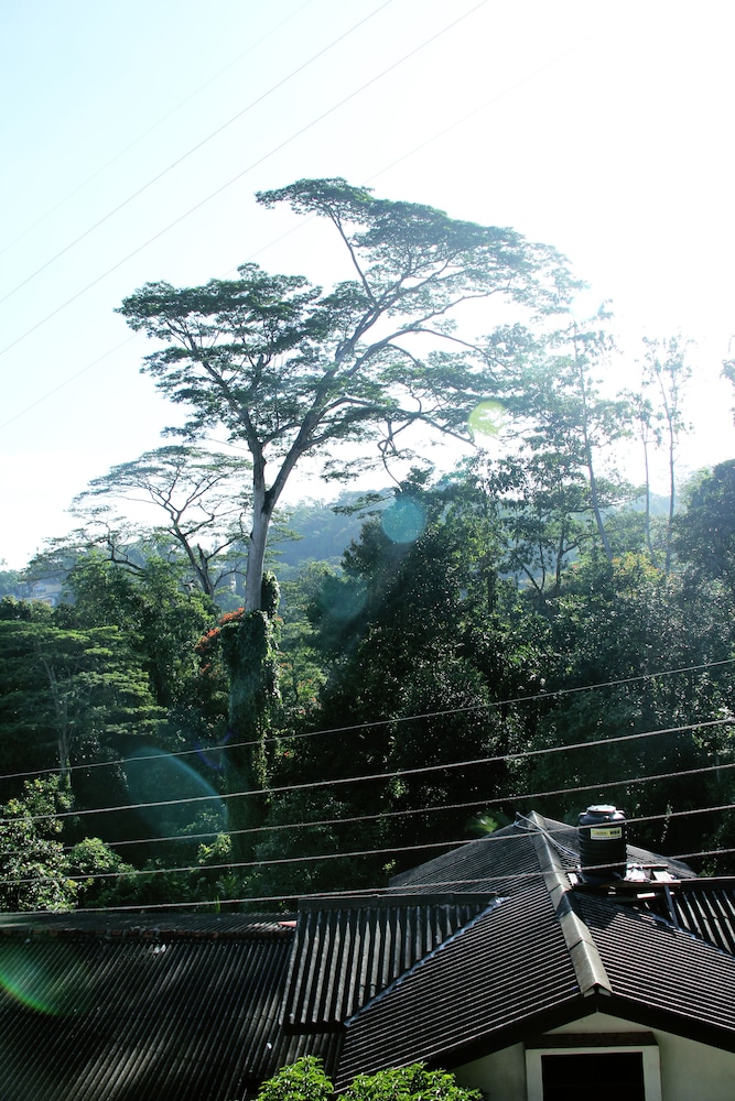 Bethel Homestay 59/63