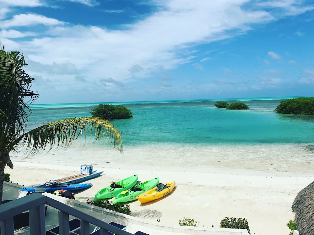 Shaka Caye 36/50