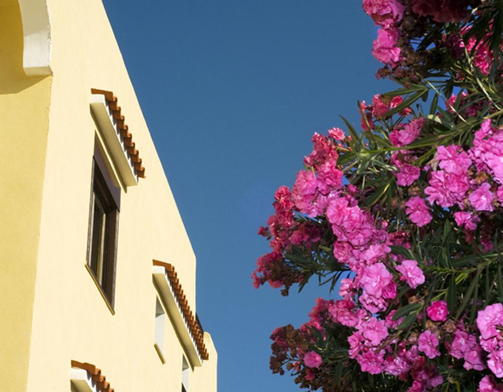 Family Hotel Le Canne&Beauty 42/42