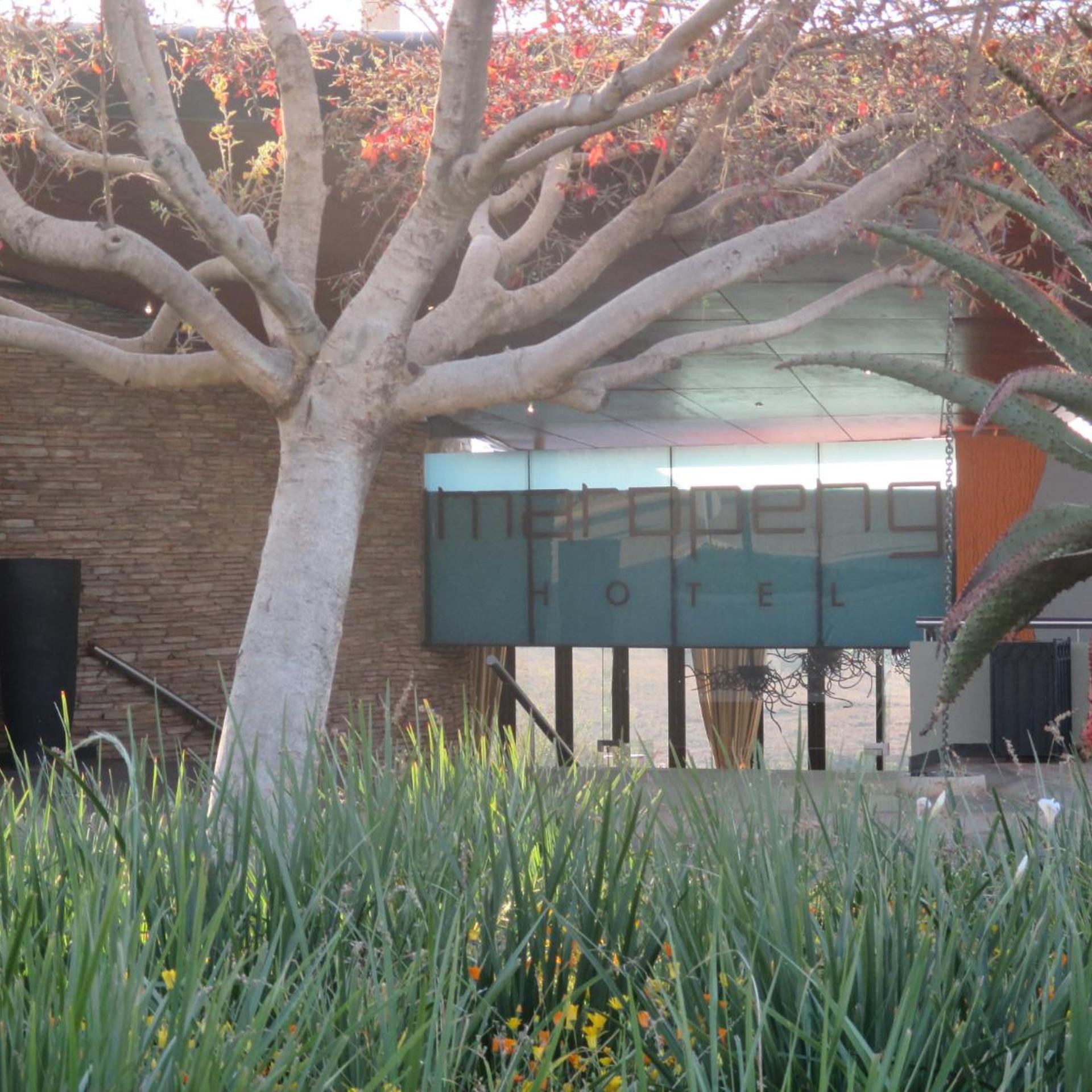 Maropeng Boutique Hotel 2/47