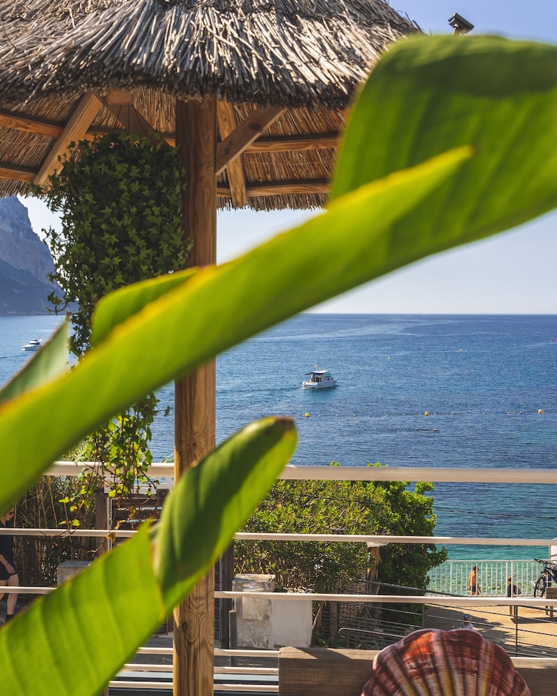 Hôtel De La Plage Mahogany 62/66