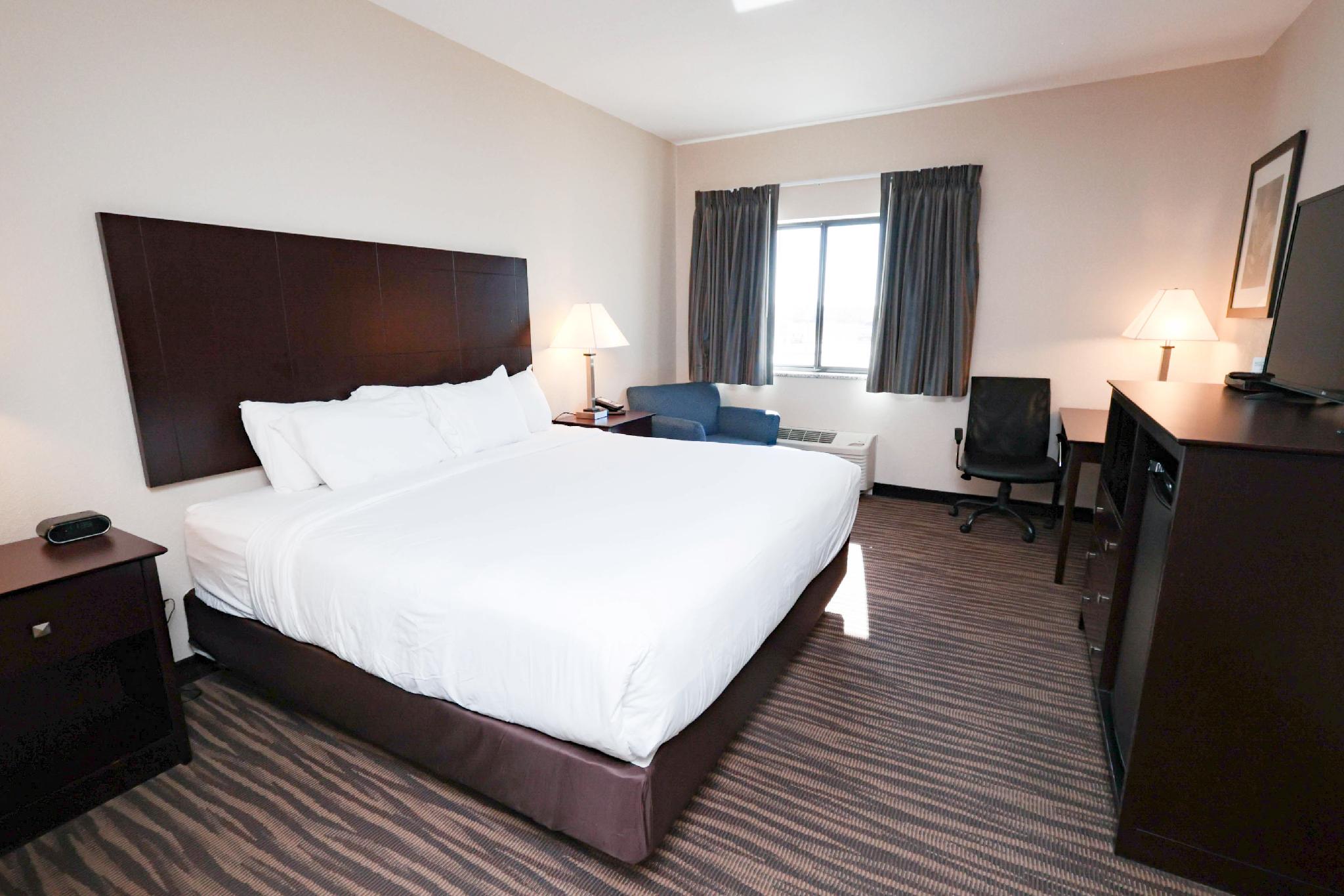 Studio, Single, King Bed