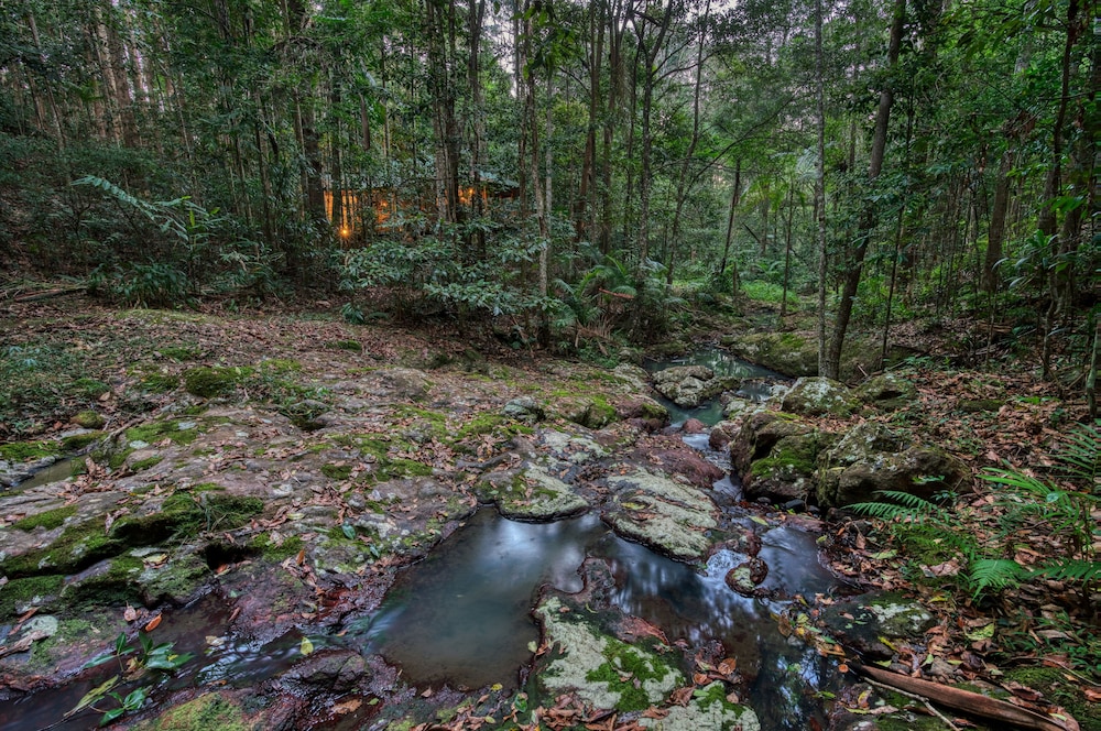 NARROWS ESCAPE RAINFOREST RETREAT 40/50