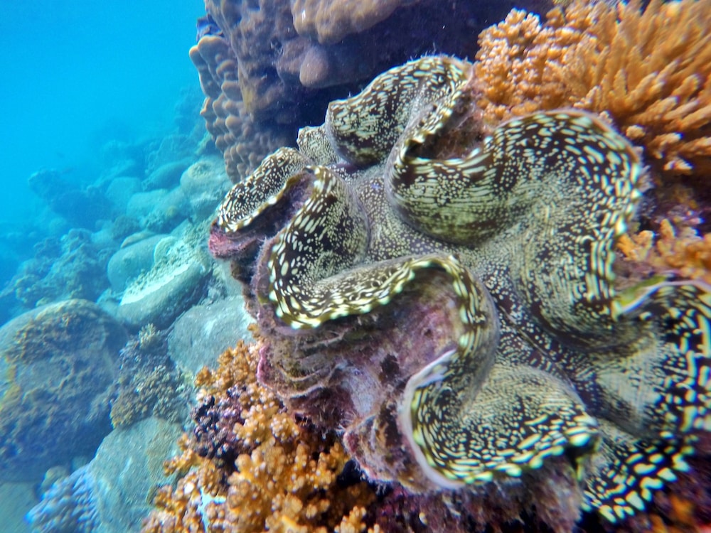 Perhentian Island Resort 46/55