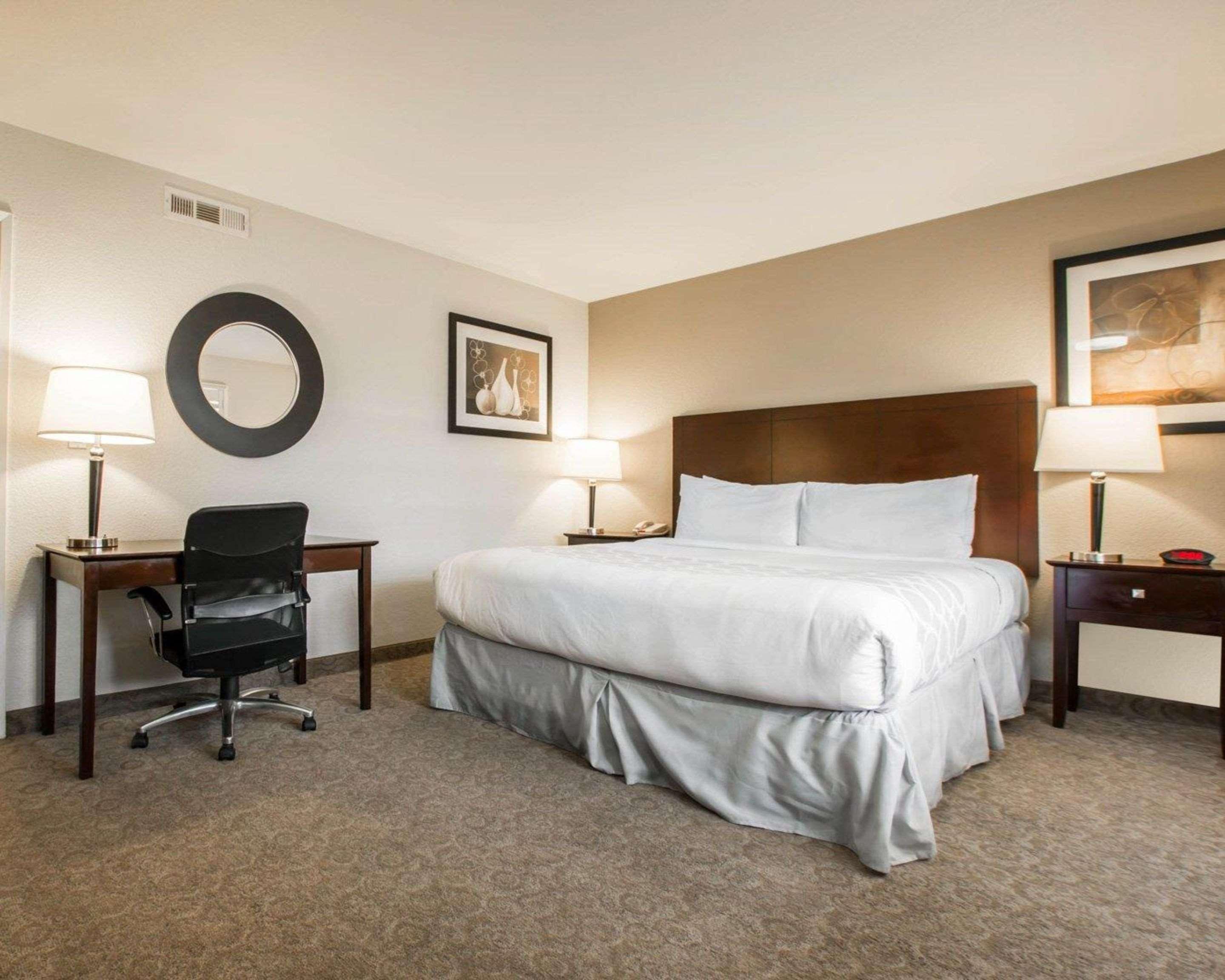 SUITE, KING BED