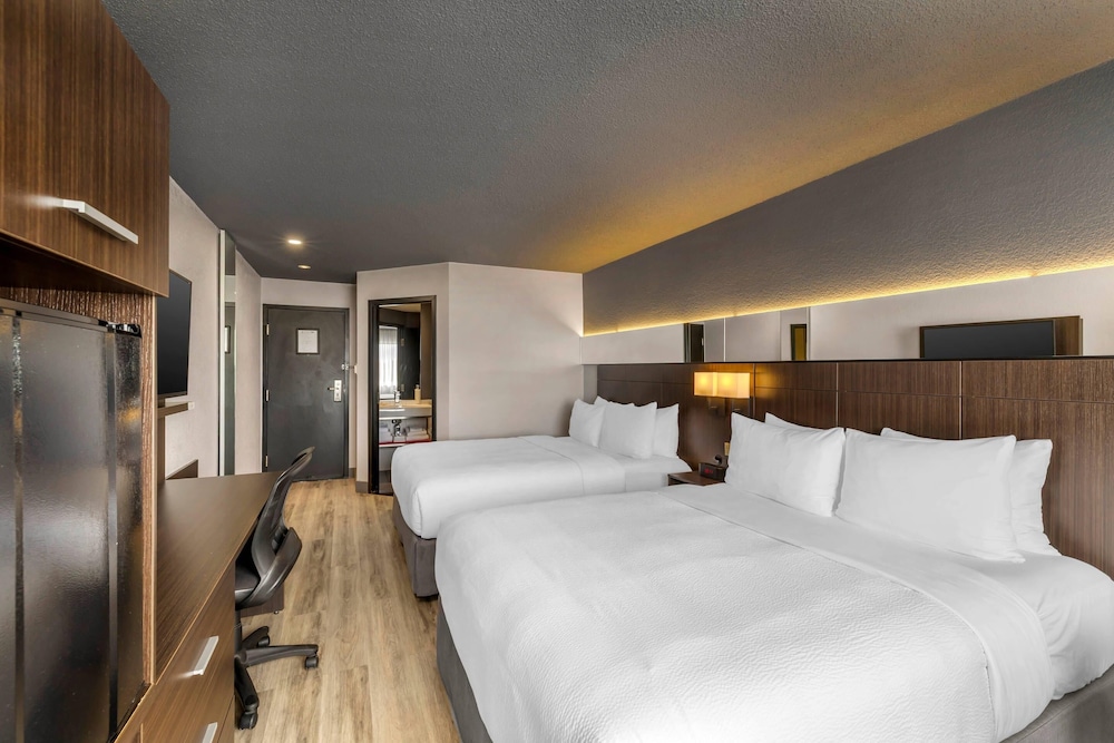 Standard, 2 Queen Beds