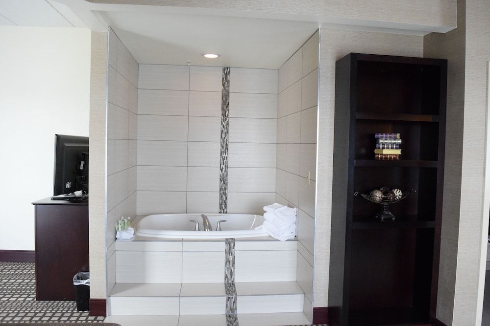 Holiday Inn Express Suites Geneva Finger Lakes 15/56