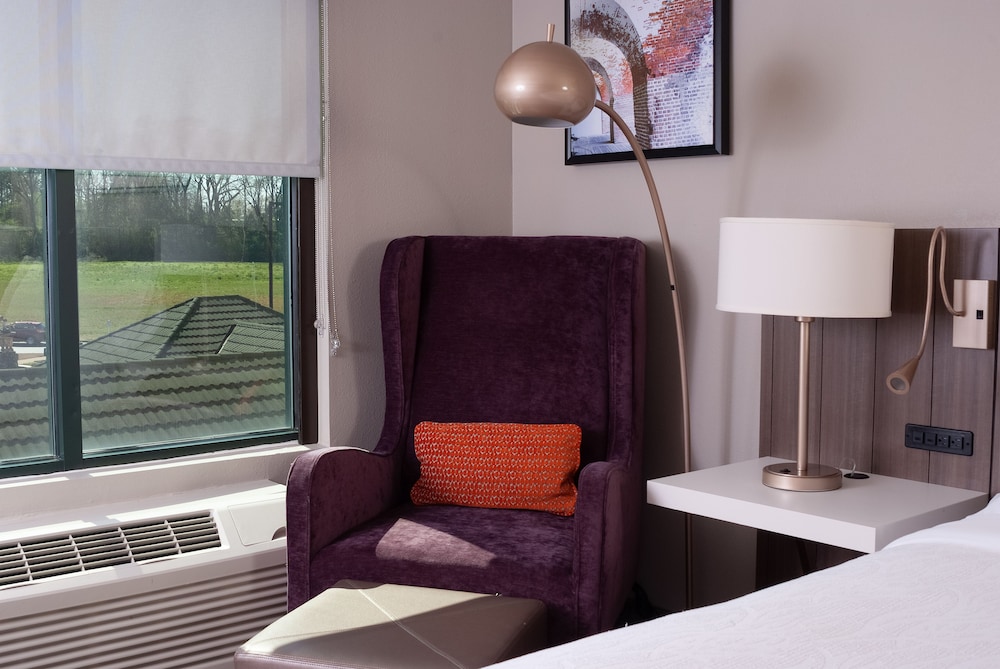 Hilton Garden Inn Atlanta Airport/Millenium Center 21/43