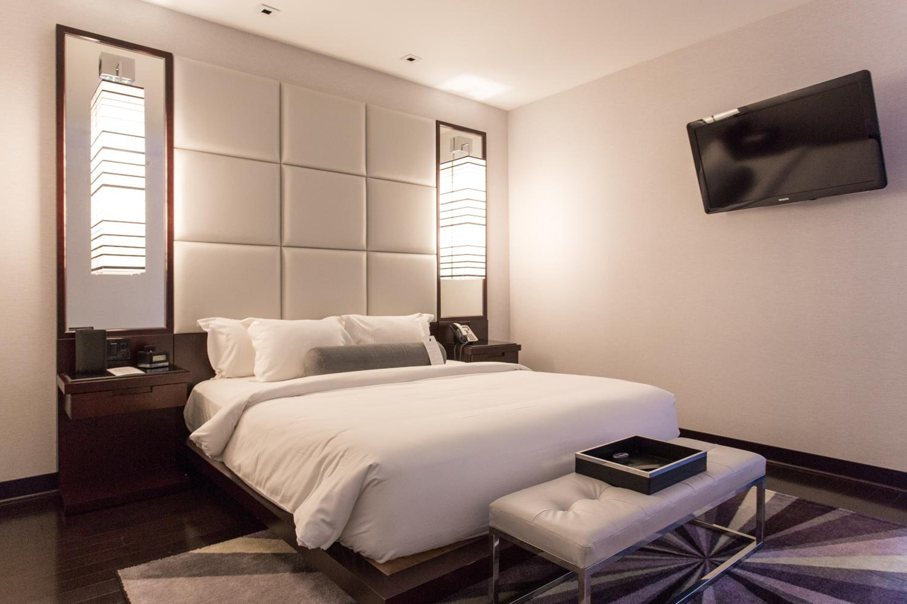 Suite, Queen Bed