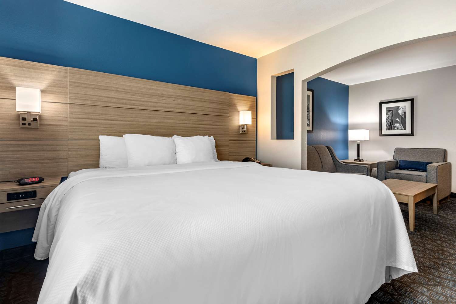 Suite, King Bed
