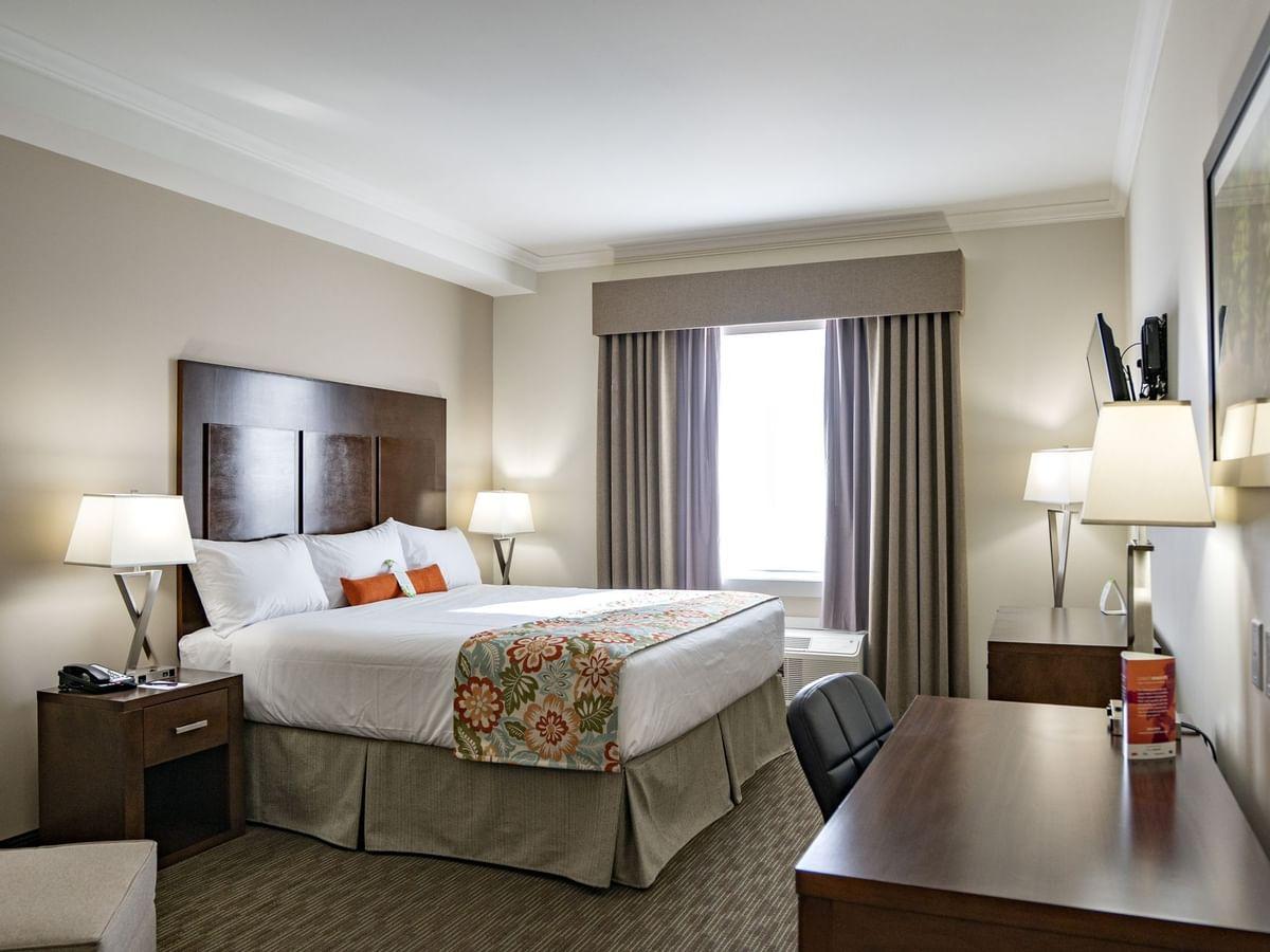 Coast, King Bed, Kitchen