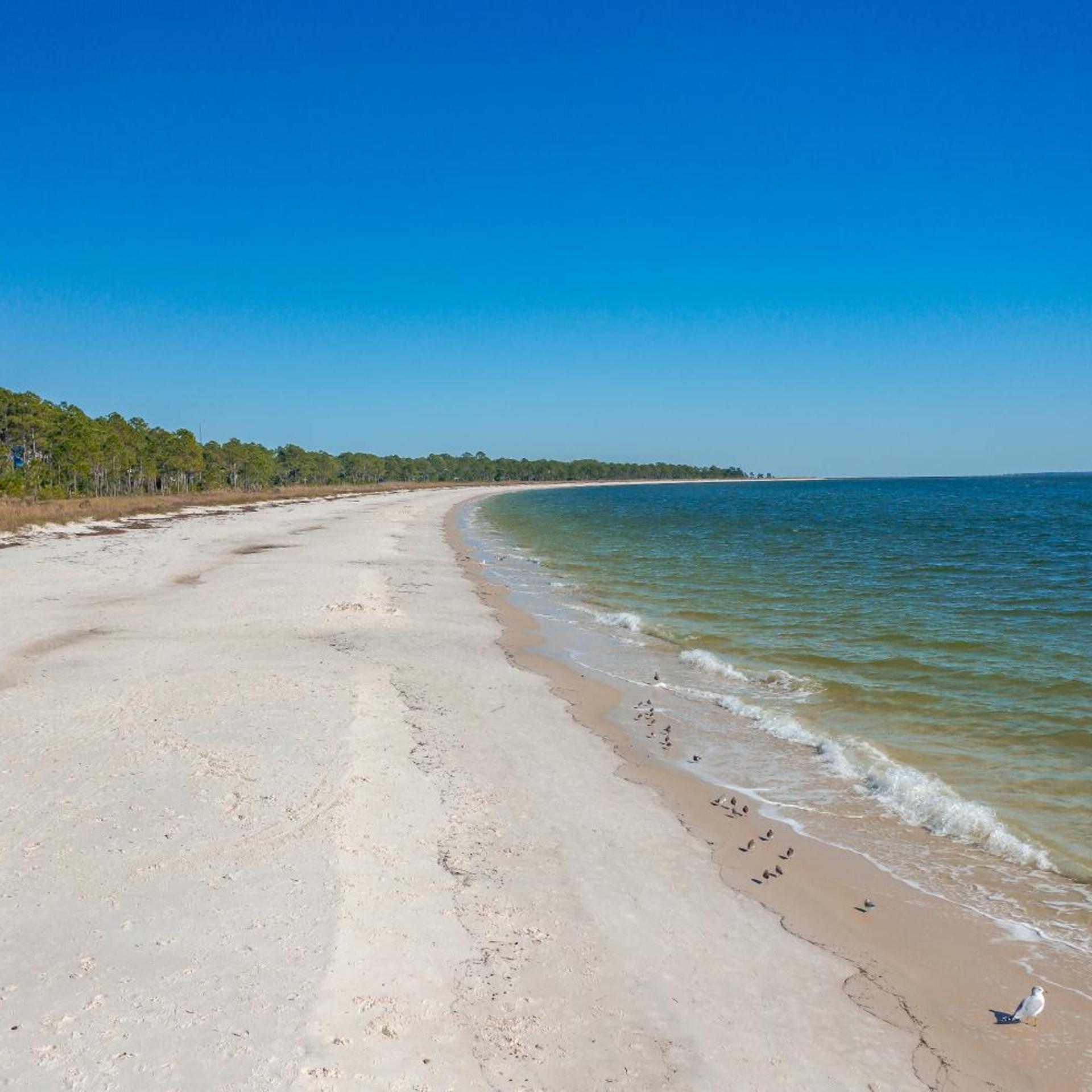 Franklin Inn Carrabelle 14/19