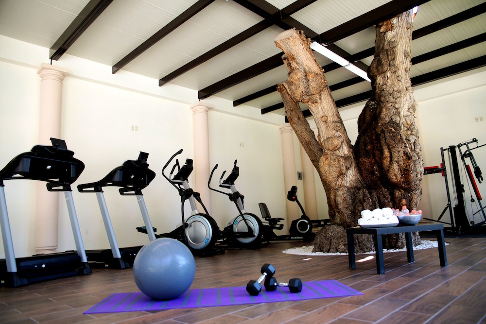 Hotel Real del Bosque 23/36