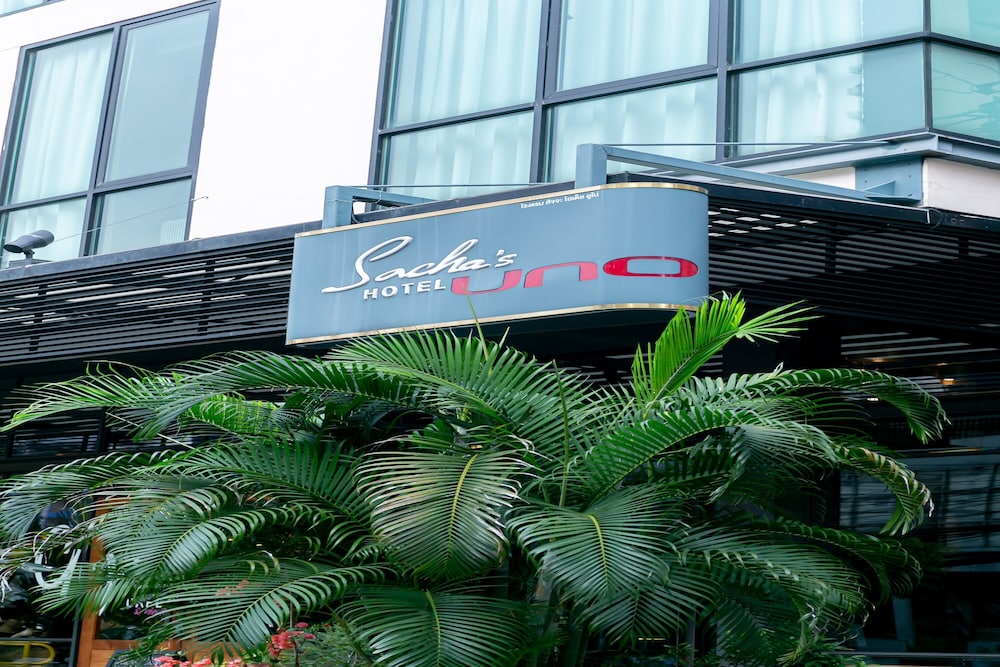 Sacha Hotel Uno 3/50