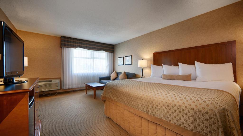 Suite, King Bed