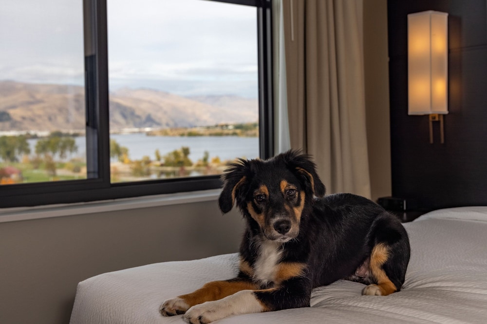 Residence Inn by Marriott Wenatchee 18/50