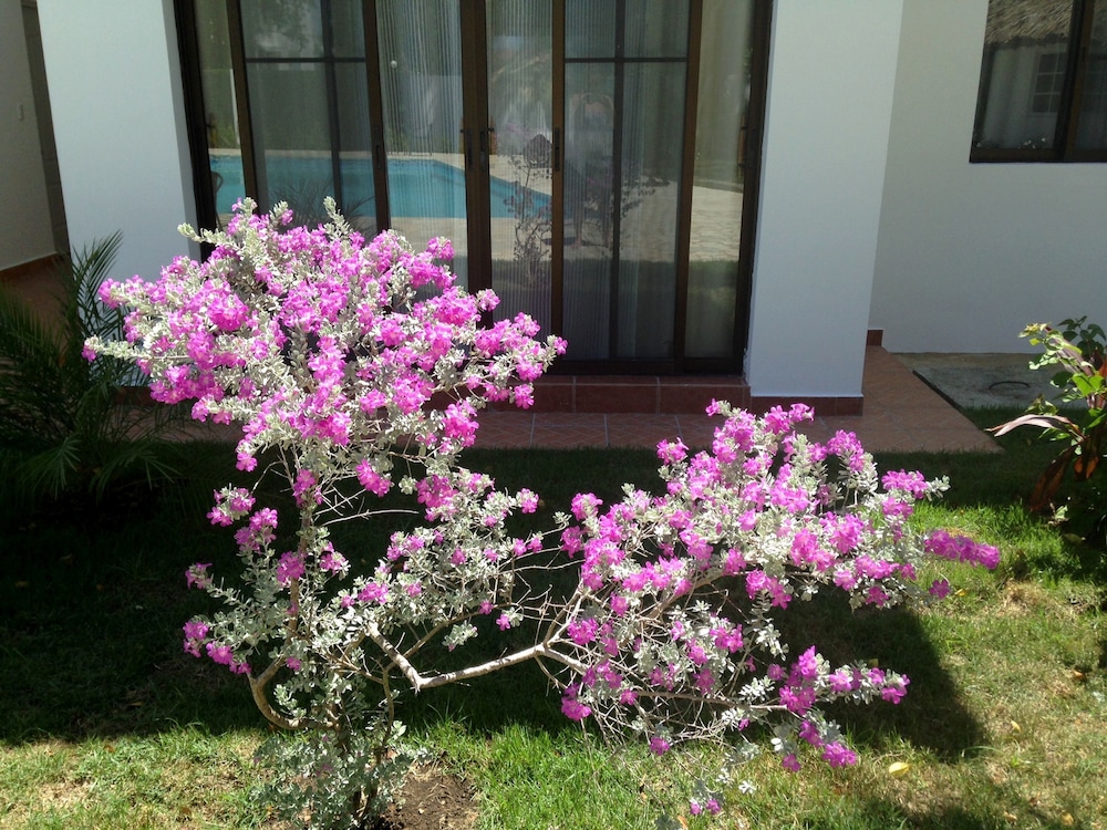Coral Blanco Hotel 65/73
