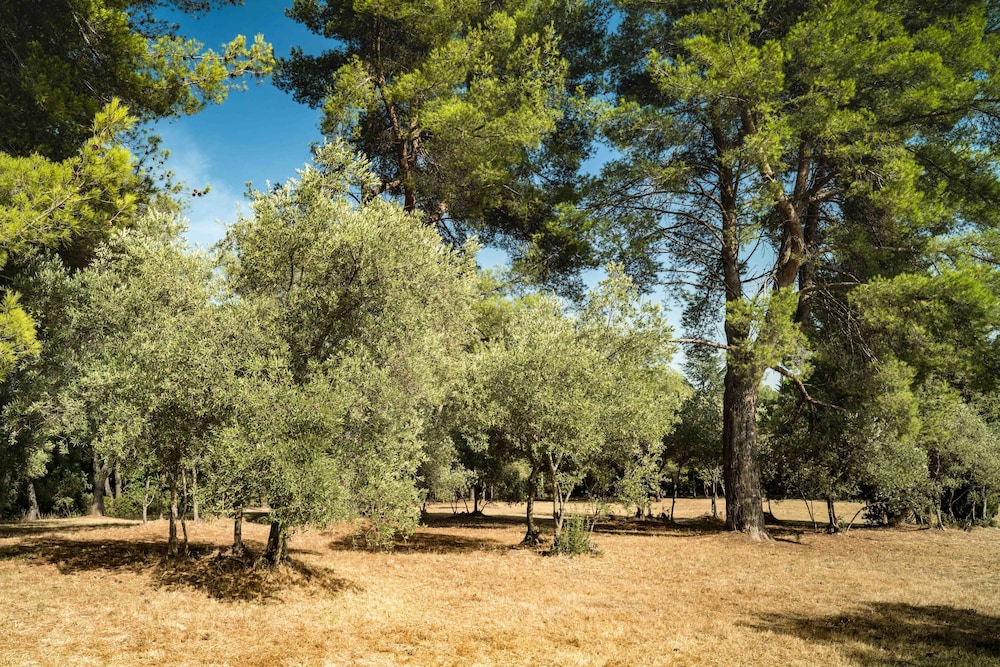 Domaine De Saint Clair 26/31