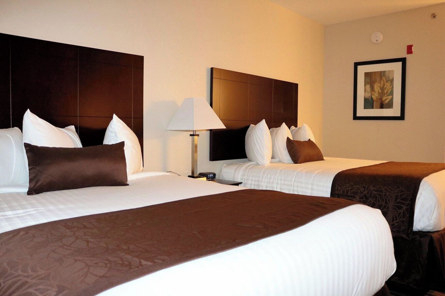 Family Suite, 2 Queen Beds, Sofa