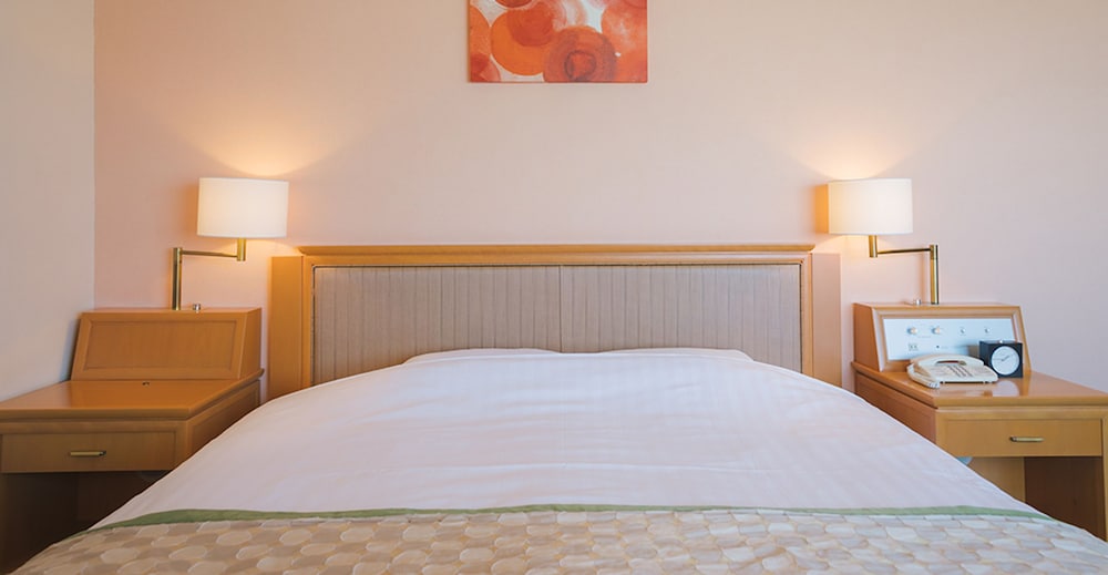Jr Hotel Clement Tokushima 14/50