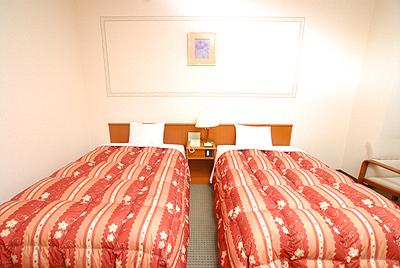 Standard, Twin Beds, Mountain View, Annex
