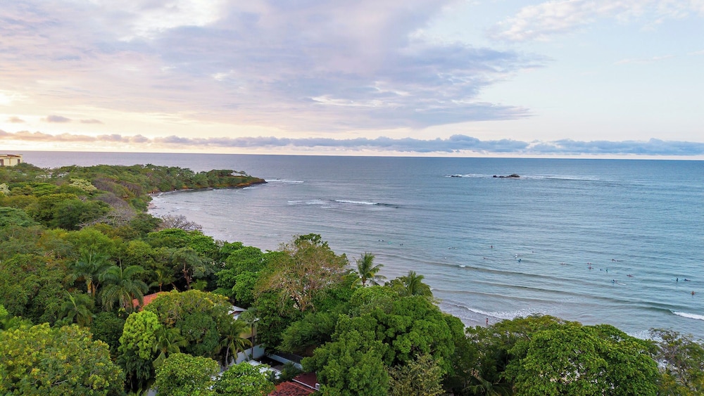 The Coast Beachfront Hotel 44/50