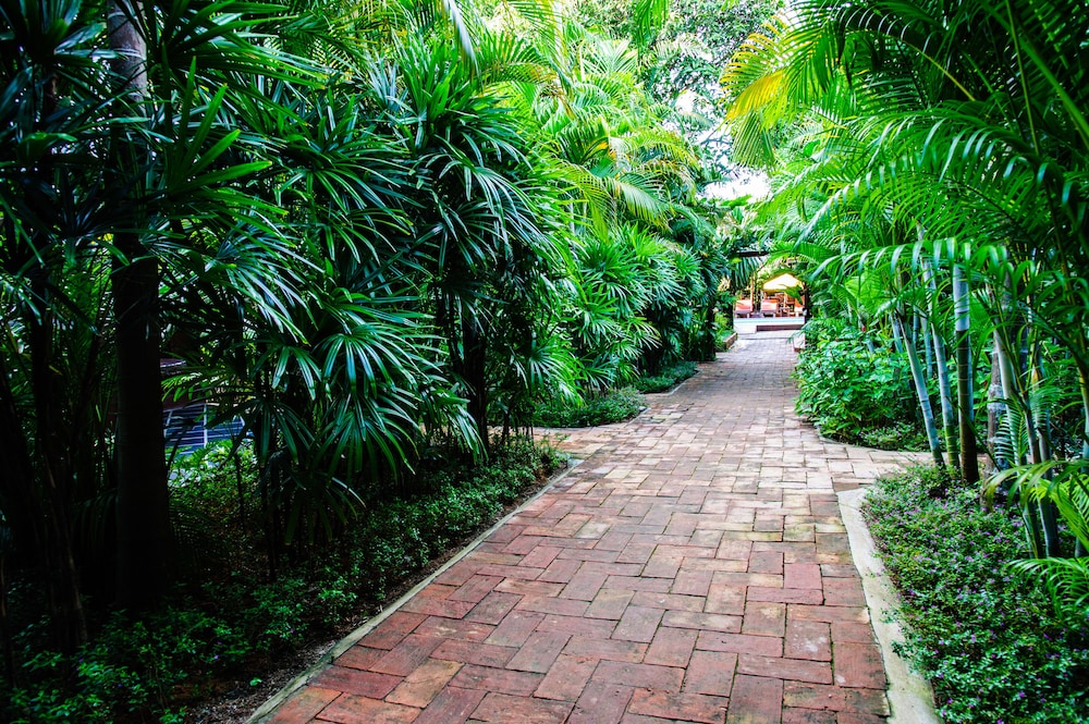 Baanpong Lodge 41/50