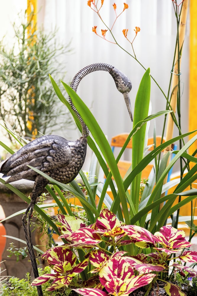 Old Town Quito Suites, Apartments & Boutique hotel 47/50