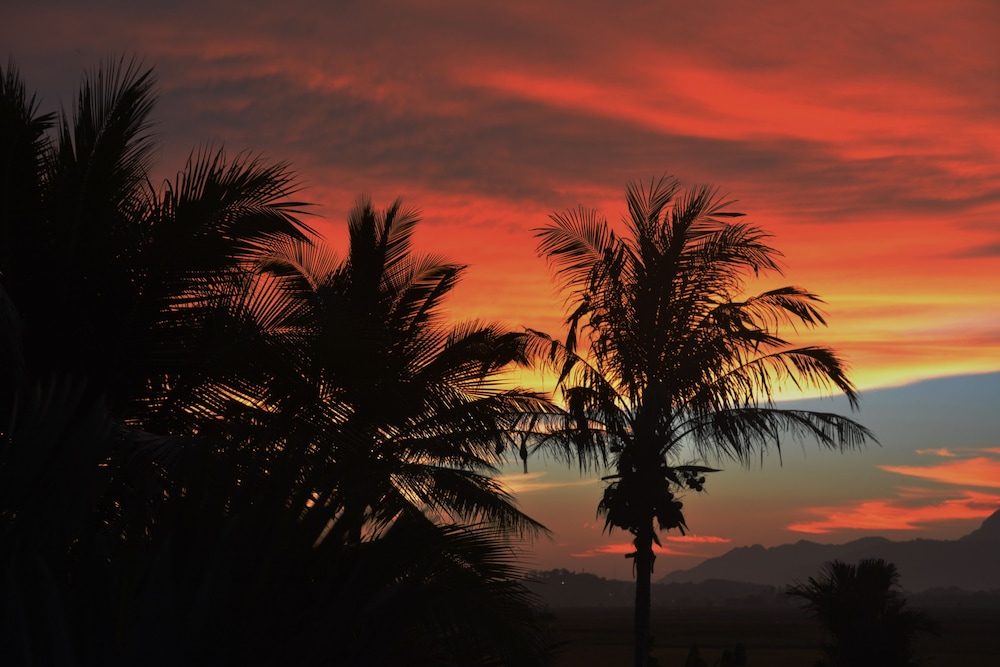 Sunset Valley 33/50
