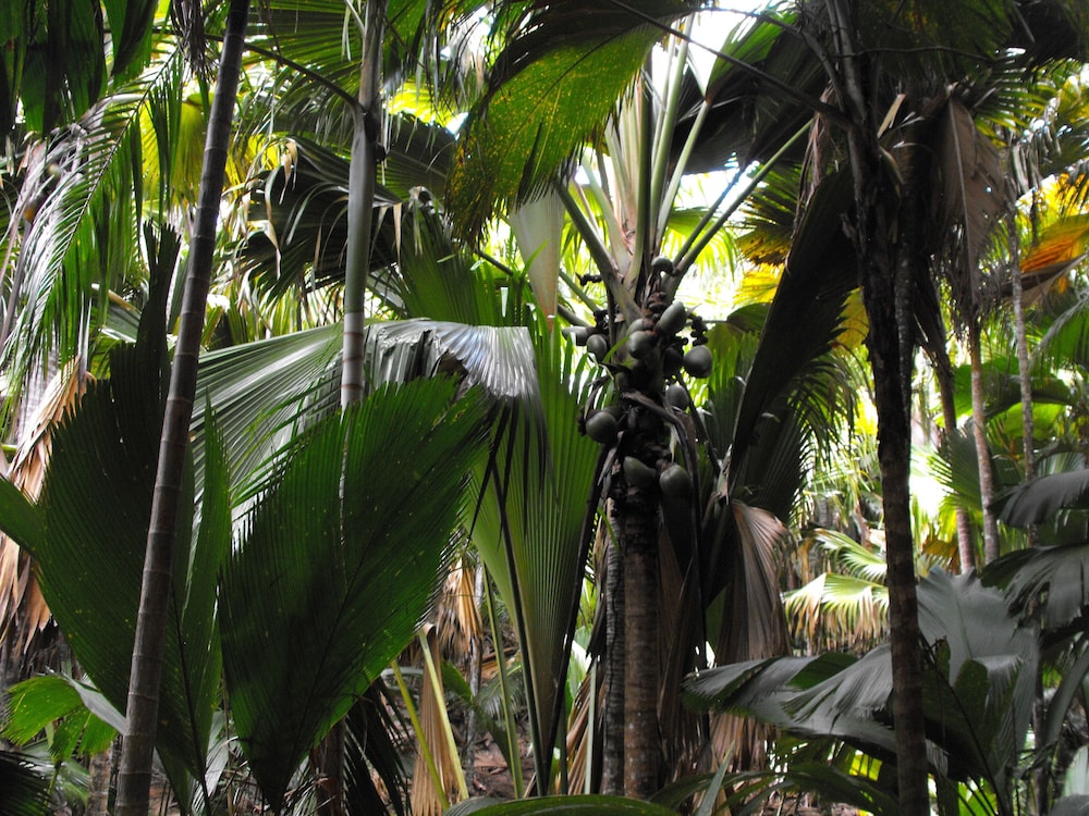 Villa Belle Plage 29/37