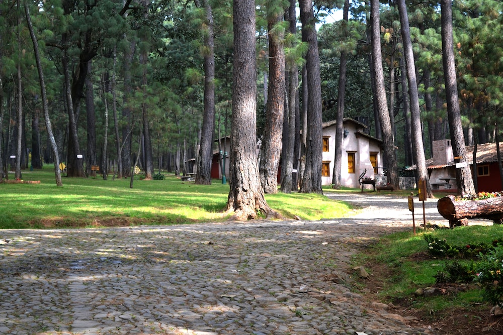 Sierra Vista 20/25