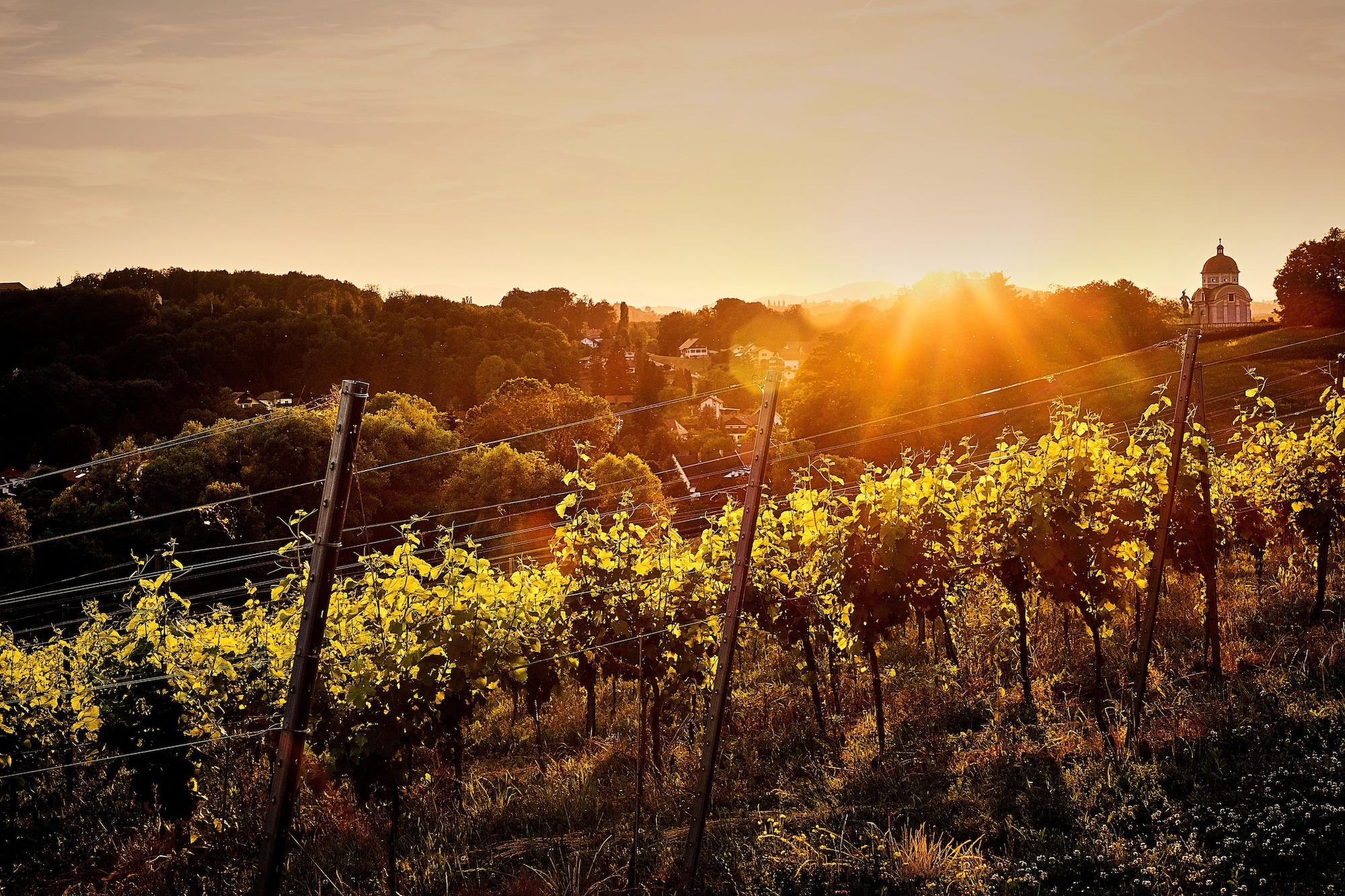 Loisium Wine & Spa Resort Sudsteiermark 30/55