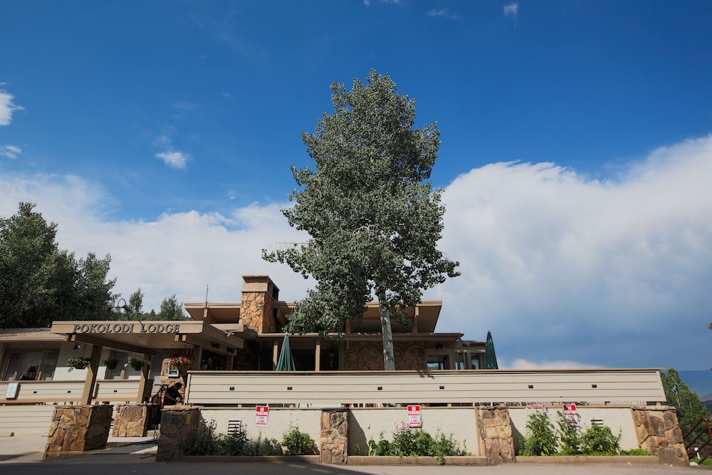 Pokolodi Lodge 33/38