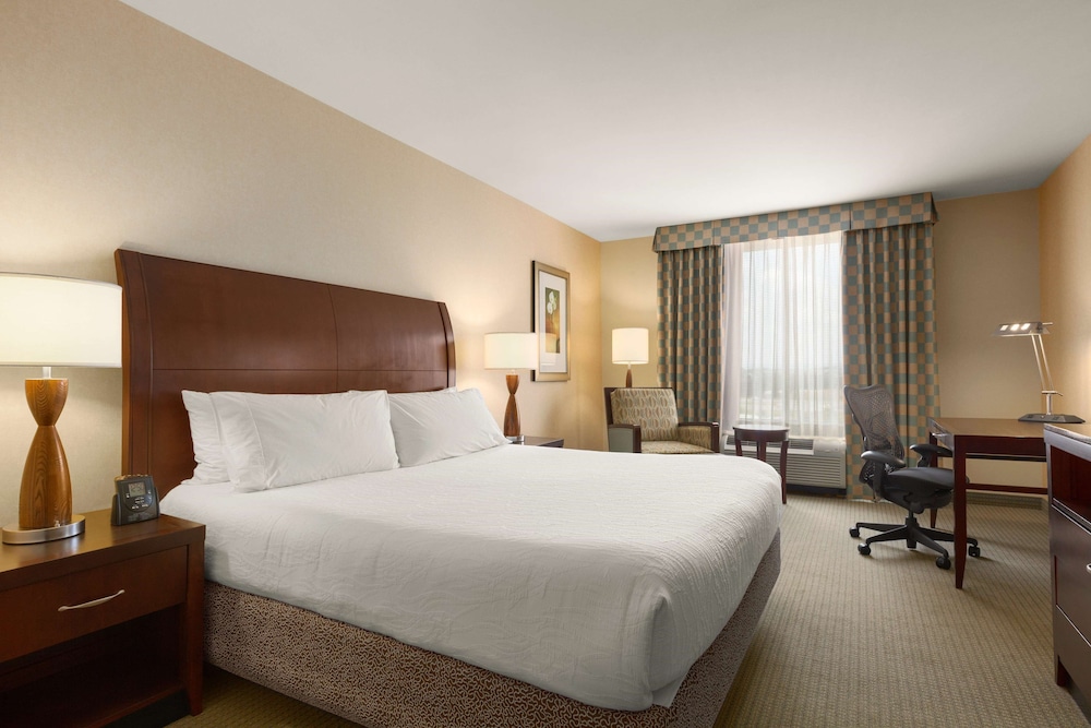 Hilton Garden Inn Dulles North 15/82